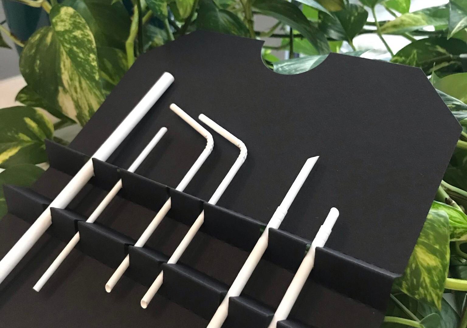 Allred Design Blog: IBP Paper Straws