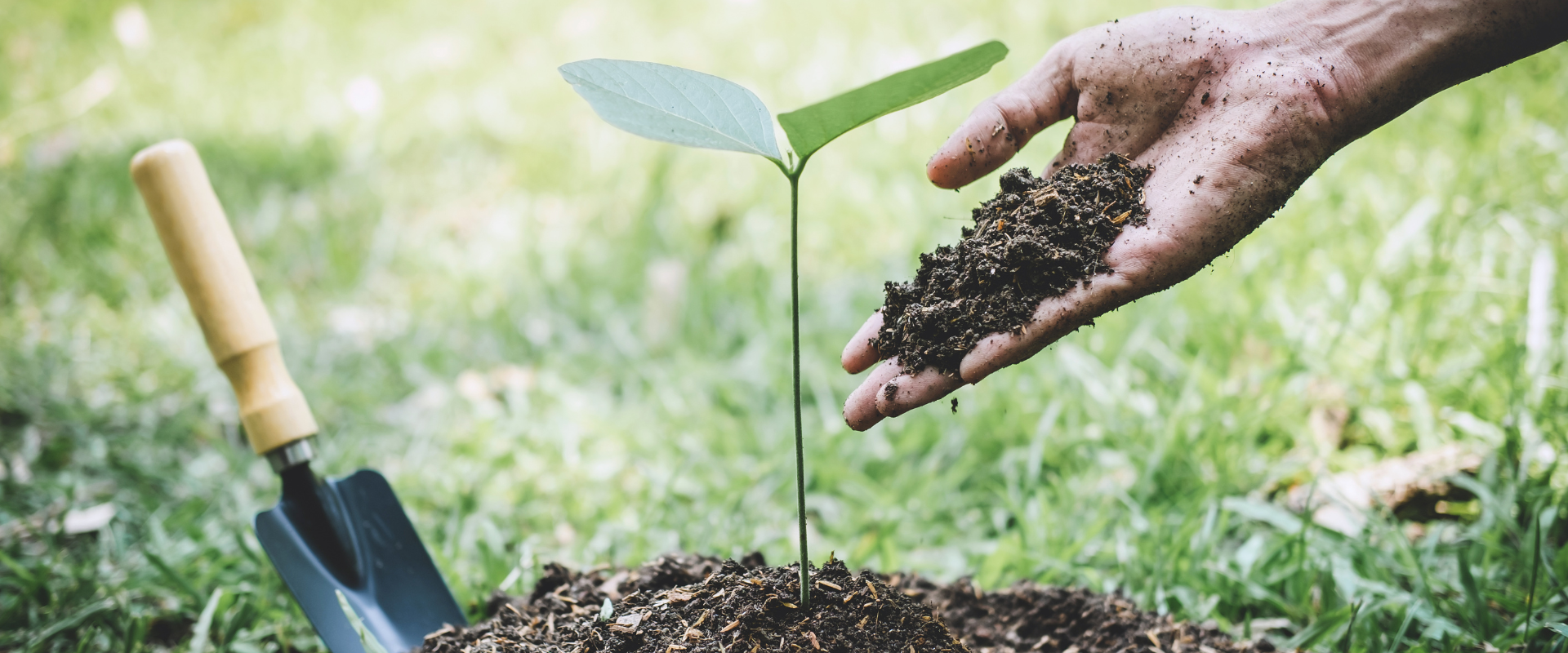 compostable paper packaging
