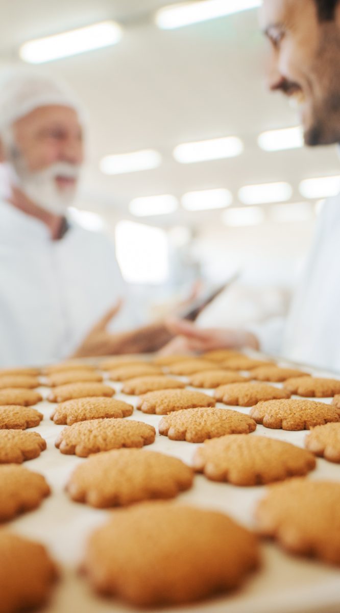 lightweight industrial baking pictures