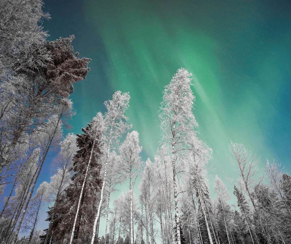 filter and analysis papers made in finland