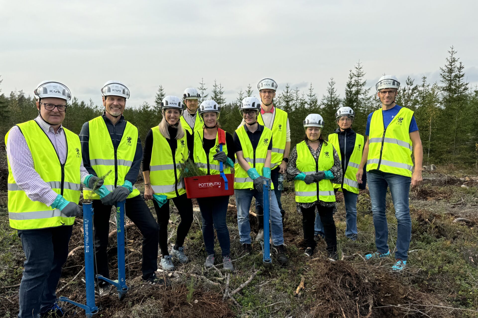 sustainable forest management, planting trees