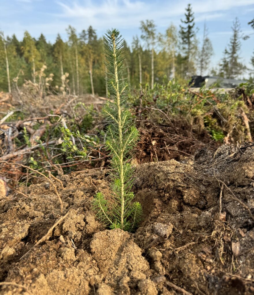 UPM Pulp School 2024_SW (97)